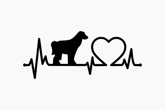 Dog Afghan Hound Heartbeat